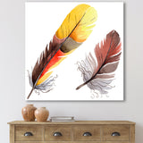 Colourful Boho Feathers IV