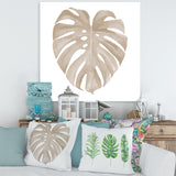 Ivory Pastel Monstera Heart Shaped Tropical Leaf