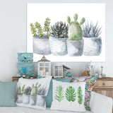 Cactus and Succulent House Plants I