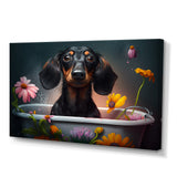 Funny Black Daschund Dog Taking A Flower Bath II