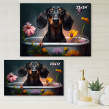 Funny Black Daschund Dog Taking A Flower Bath II