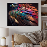 Macro Colorful Feather Eagle II