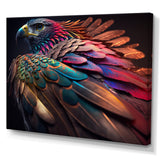 Macro Colorful Feather Eagle II