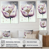 Cream And Purple Tulip III