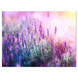 Growing and Blooming Lavender Wall Art