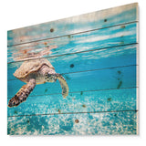 Large Hawksbill Sea Turtle - Abstract Print on Natural Pine Wood - 20x15