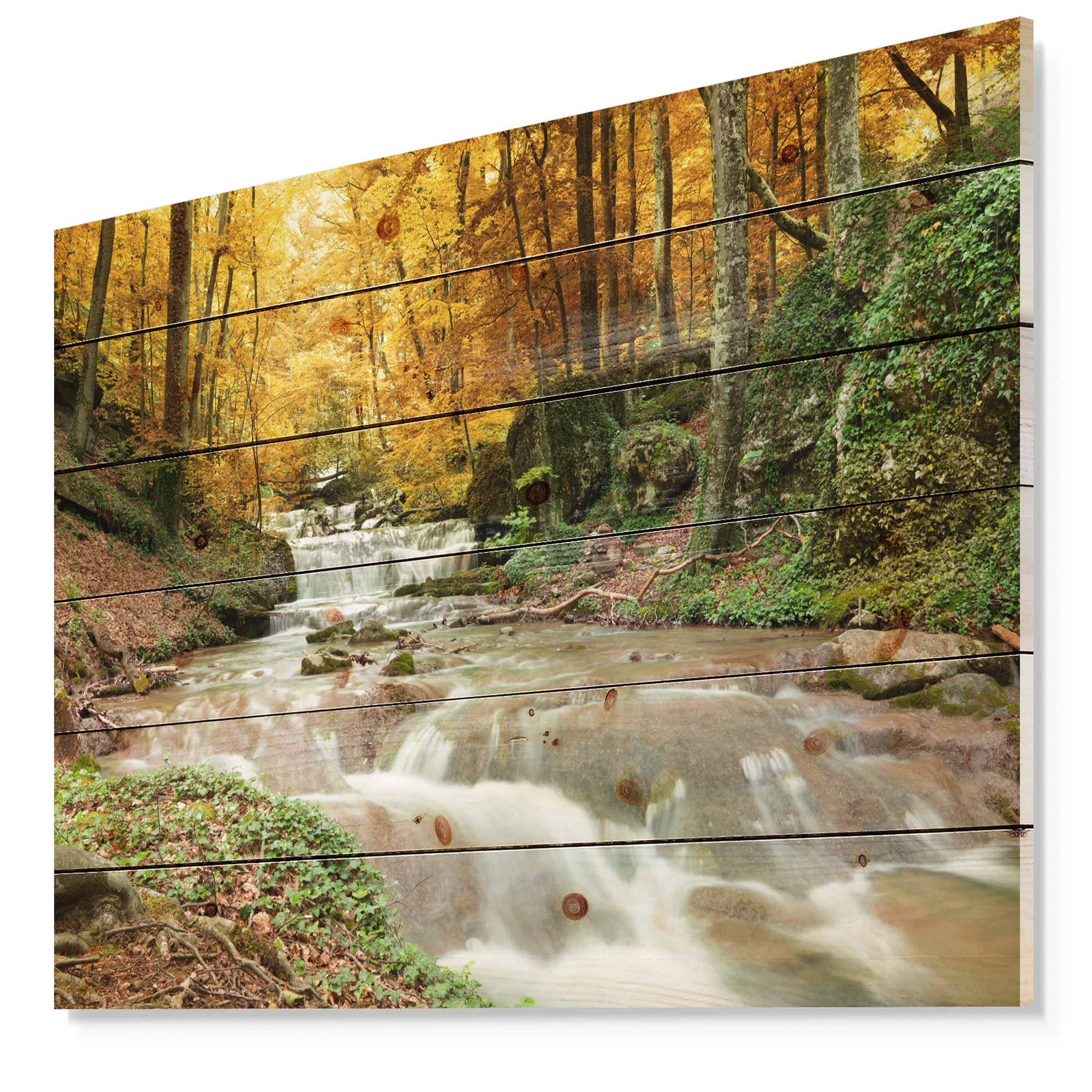 Forest Waterfall with Yellow Trees - Landscape Print on Natural Pine Wood - 20x15