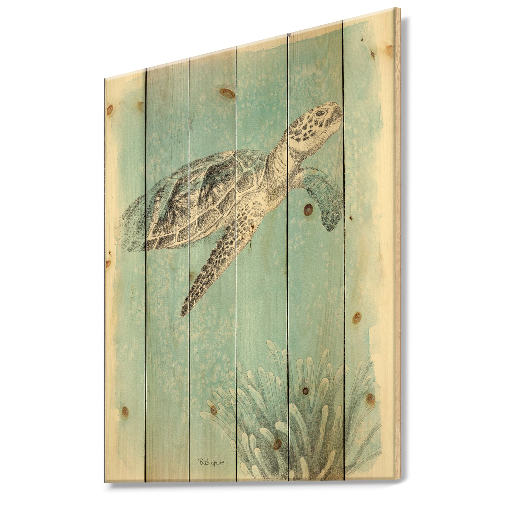 Coastal Sea Life I Turtle sketches - Nautical & Coastal Print on Natural Pine Wood - 15x20