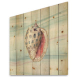 Gilded Sea Horn Shell on Blue - Nautical & Coastal Print on Natural Pine Wood - 16x16